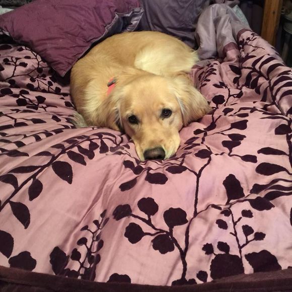 Meet your Posher, Charlene - Picture 1 of 1